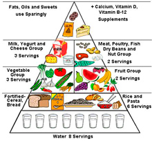 Food Pyramid